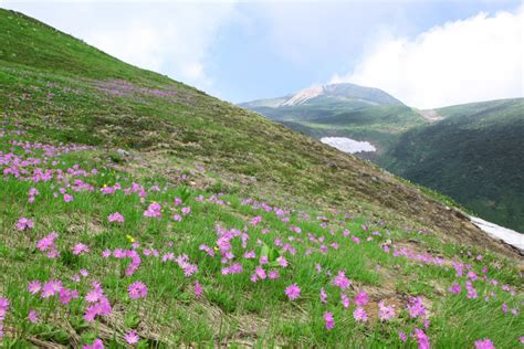 白山 市 爆 サイ|【公式】白山市観光・旅行情報サイト｜うらら白山人.